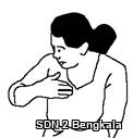 Saya copy.jpg
