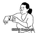 02 Sate kuwung copy.jpg