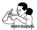 03 Bantal alem copy.jpg