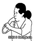 Harus copy.jpg